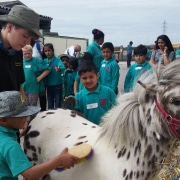 School Visits
