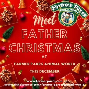 Website Christmas