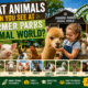 animals at farmer parrs